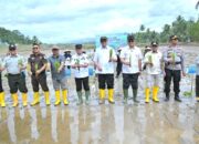 Rehabilitasi Lahan Pertanian Terdampak Bencana Dimulai