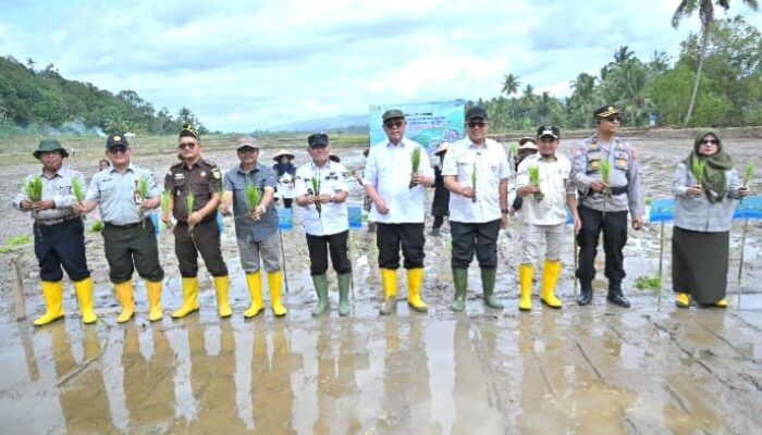 Rehabilitasi Lahan Pertanian Terdampak Bencana Dimulai