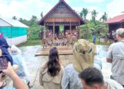 Kapal Pesiar Asing Bawa Ratusan Wisatawan Sampai di Mentawai