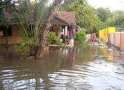 Perkembangan Situasi dan Penanganan Bencana di Indonesia pada 25 Januari 2026