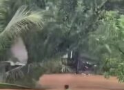 Hujan Deras, Seseorang Diduga Hanyut Terbawa Arus di Bantaran Sungai Tunggul Hitam