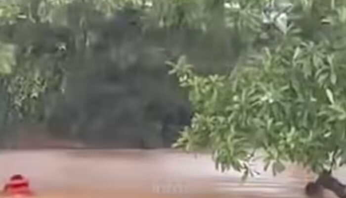 Dugaan Orang Hanyut, Warga Klarifikasi bahwa Itu Aksi Penyelamatan Biduk Terbawa Arus