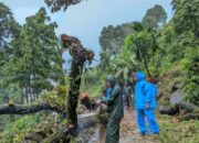 Tim TRC Satpol PP Padang Lakukan Pembersihan Pohon Tumbang di Rawang Barat