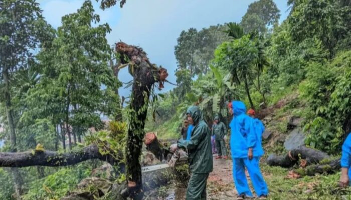 Tim TRC Satpol PP Padang Lakukan Pembersihan Pohon Tumbang di Rawang Barat
