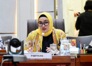 DPR Desak Pemerintah Petakan Ulang Kebutuhan Dokter Spesialis Berbasis Daerah