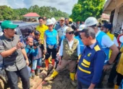 Mentri ESDM Pastikan Listrik di Palembayan, Agam Menyala pada Rabu Malam