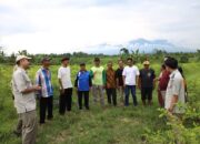 Jalan Kolaborasi Lintas Instansi Terbuka dari Reforma Agraria, Jadi Jawaban Penyelesaian Konflik di Desa Soso