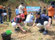 Pulihkan Ekologi Pascabencana, PT Semen Padang Serahkan 10 Ribu Bibit Kaliandra