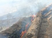 Perkembangan Situasi dan Penanganan Bencana di Indonesia 27 Januari 2026