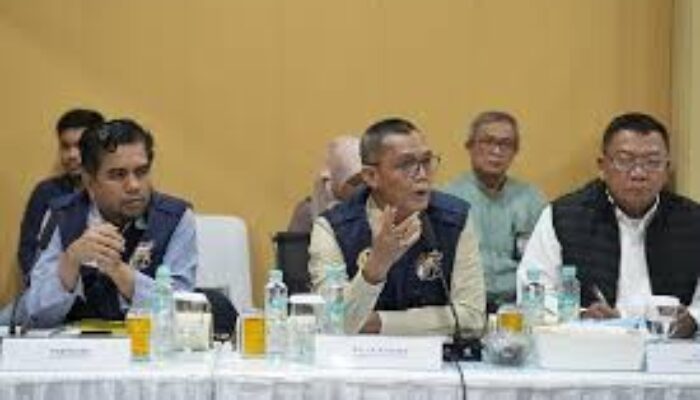 4 Persoalan Jadi Kendala Penanganan Bencana Sumatera