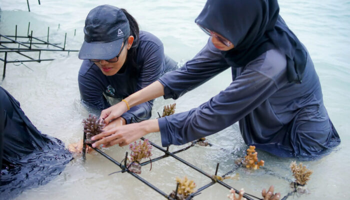 17.855 Harapan di Bawah Laut: Langkah Nyata Telkom Pulihkan Terumbu Karang Indonesia