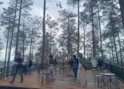 Kawasan Pinus Talang, “Cikole”nya Lima Puluh Kota