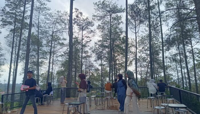 Kawasan Pinus Talang, “Cikole”nya Lima Puluh Kota