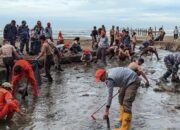 Peduli Lingkungan, Satpol PP dan Pihak Terkait di Padang Goro di Kawasan Pantai Air Manis