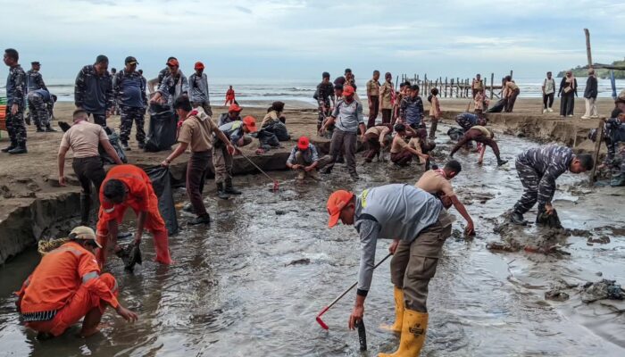 Peduli Lingkungan, Satpol PP dan Pihak Terkait di Padang Goro di Kawasan Pantai Air Manis