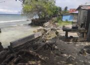 Perkembangan Situasi dan Penanganan Bencana di Tanah Air Tanggal 1 Februari 2026