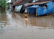 Perkembangan Percepatan Penanganan Darurat dan Pemulihan Bencana Hidrometeorologi di Sumatra Pada 2 Februari 2026