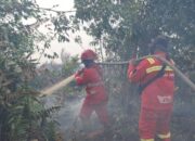 90 Titik Hotspot di Riau, Terbanyak di Sumatra