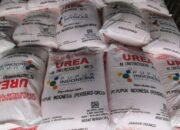 Pemerintah Pastikan Alokasi Pupuk Subsidi untuk Ketahanan Pangan Nasional