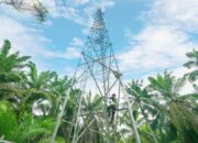 Indosat Catat Pertumbuhan Double-Digit pada Laba Bersih, Cerminkan Pertumbuhan Bisnis Berkelanjutan