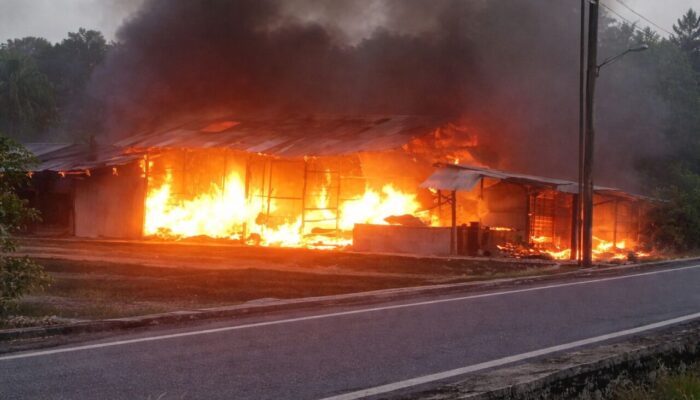 Kebakaran di Belimbing Alami Kerugian Rp500 Juta dan Satu Korban Luka Bakar