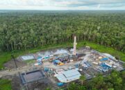 Pemerintah Prioritaskan Ketahanan Energi Papua demi Stabilitas Ekonomi