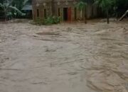 Perkembangan Situasi dan Penanganan Bencana di Tanah Air 15 Februari 2026