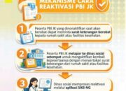 Operator Data Dinsos Se-Indonesia Dibimbing Kemensos Cara Reaktivasi PBI