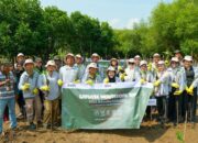 Program Ayo Beraksi, Cara Telkom Galakkan Penanaman Mangrove di Pesisir Semarang