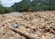 Buntut Bencana Sumatera, Pemerintah Cabut Izin Puluhan Perusahaan