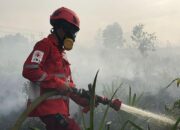 Karhutla Seluas 435,578 Hektare di Kalbar Telah Mendapatkan Penanganan yang Optimal