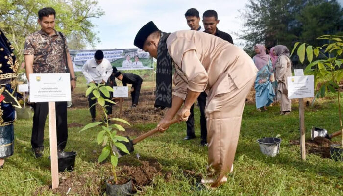 Pariaman Dipilih BPOM RI untuk Gerakan Sejuta Pohon Pascabencana