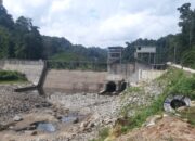 Sungai Mengering, Ikan Terancam: AJPLH Gugat PLTMH Pelangai Gadang ke PN Painan