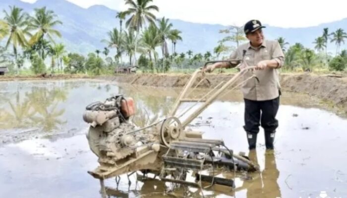 69 Hektare Sawah Terdampak Bencana di Tanjung Raya Direhabilitasi